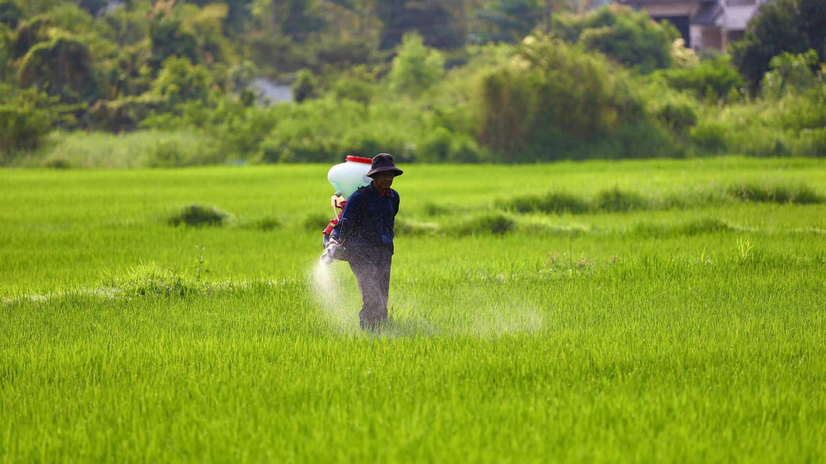 Milleks kasutatakse monoetanoolamiini agrokemikaalides?